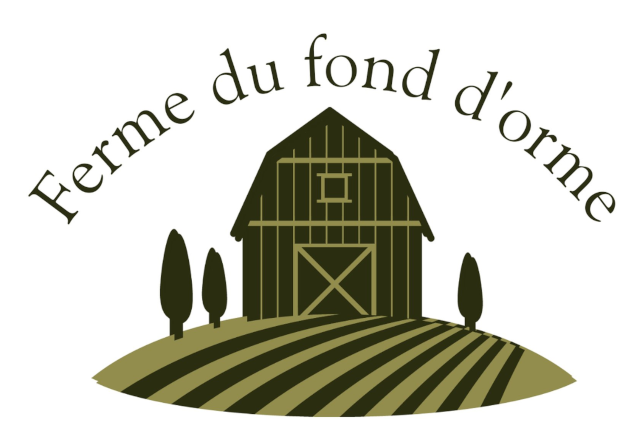 Logo  | Boîte tout boeuf