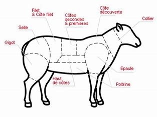 agneau entier (16kg-23kg)