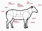 agneau entier HalaL (16 kg-23kg)